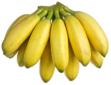 Plátano - PRODUCTOS AGRICOLAS MARAMPO S.P.R DE R.L